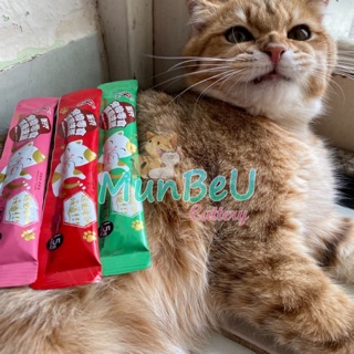 10 GÓI SOUP THƯỞNG PARKER DINH DƯỠNG TỐI ƯU CHO MÈO CƯNG SNACK THƯỞNG DƯỠNG MƯỢT LÔNG TĂNG CÂN