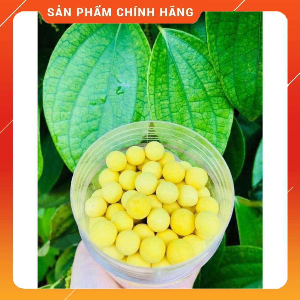 VIÊN NGHỆ MẬT ONG RỪNG 500G