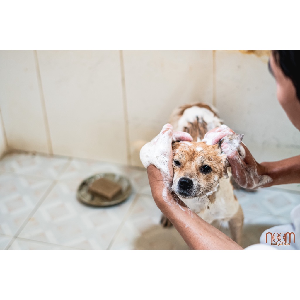 Xà bông thảo mộc tự nhiên