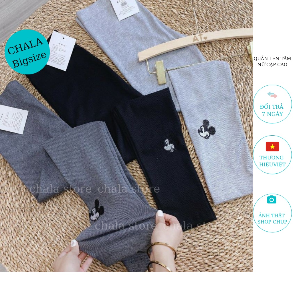 Quần Len Tăm Nữ Cạp Cao Chala, Quần Legging Nữ Dài Lưng Chun Hình Micky