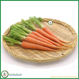 Hạt giống Carrot RUBY F1 TN 406
