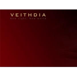 Veithdia Kính Mát Phân Cực Cổ Điển 3026