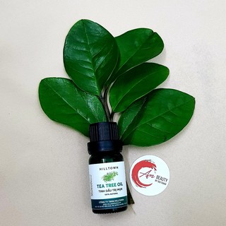 Tinh dầu tràm trà nguyên chất HillTown 10ml