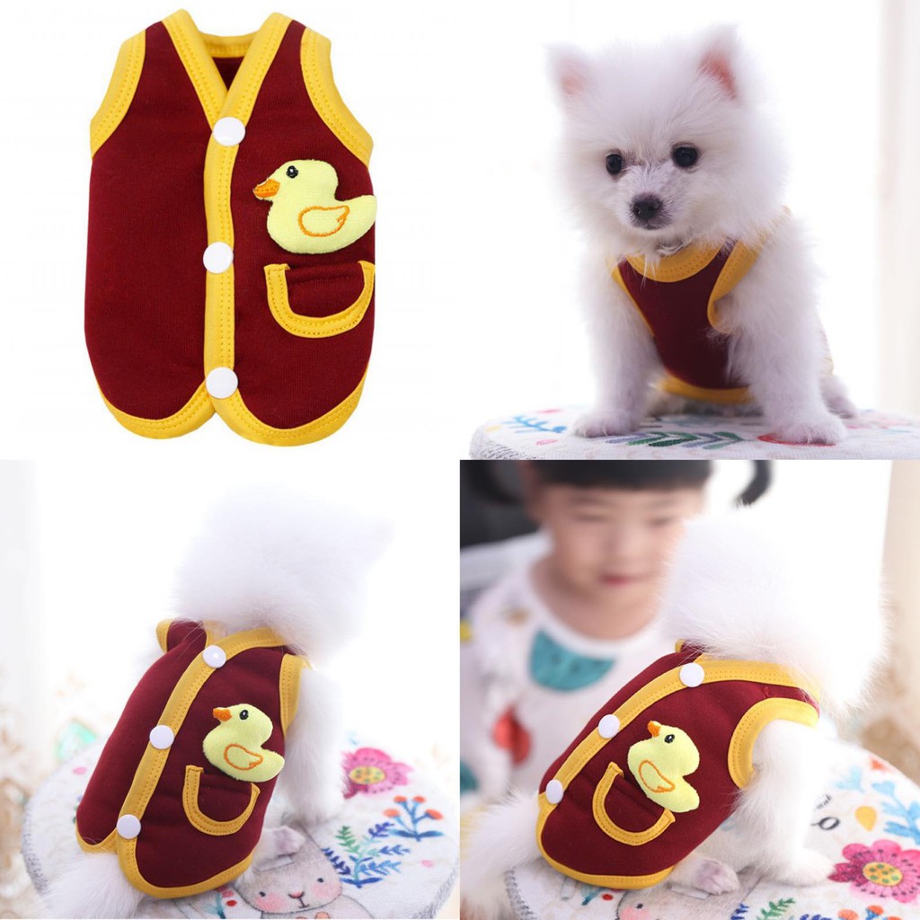 Áo xinh xắn cho chó mèo
