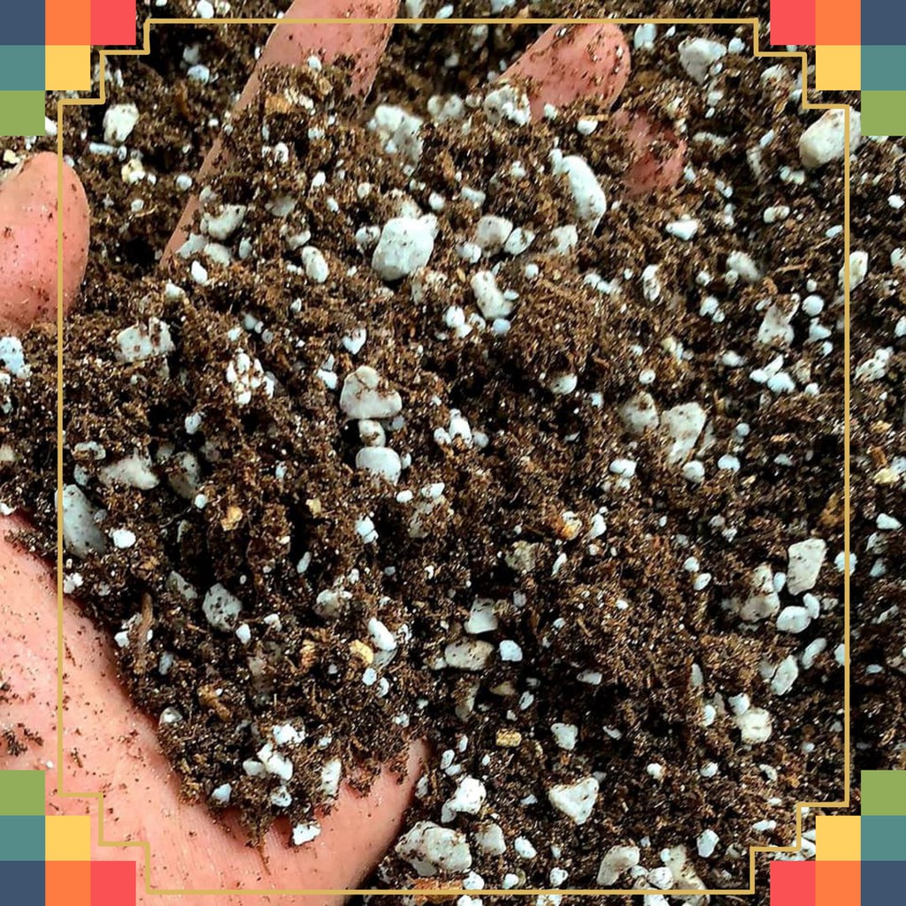 [Hàng có sẵn] 1kg Đá perlite phối trộn giá thể trồng cây các loại.
