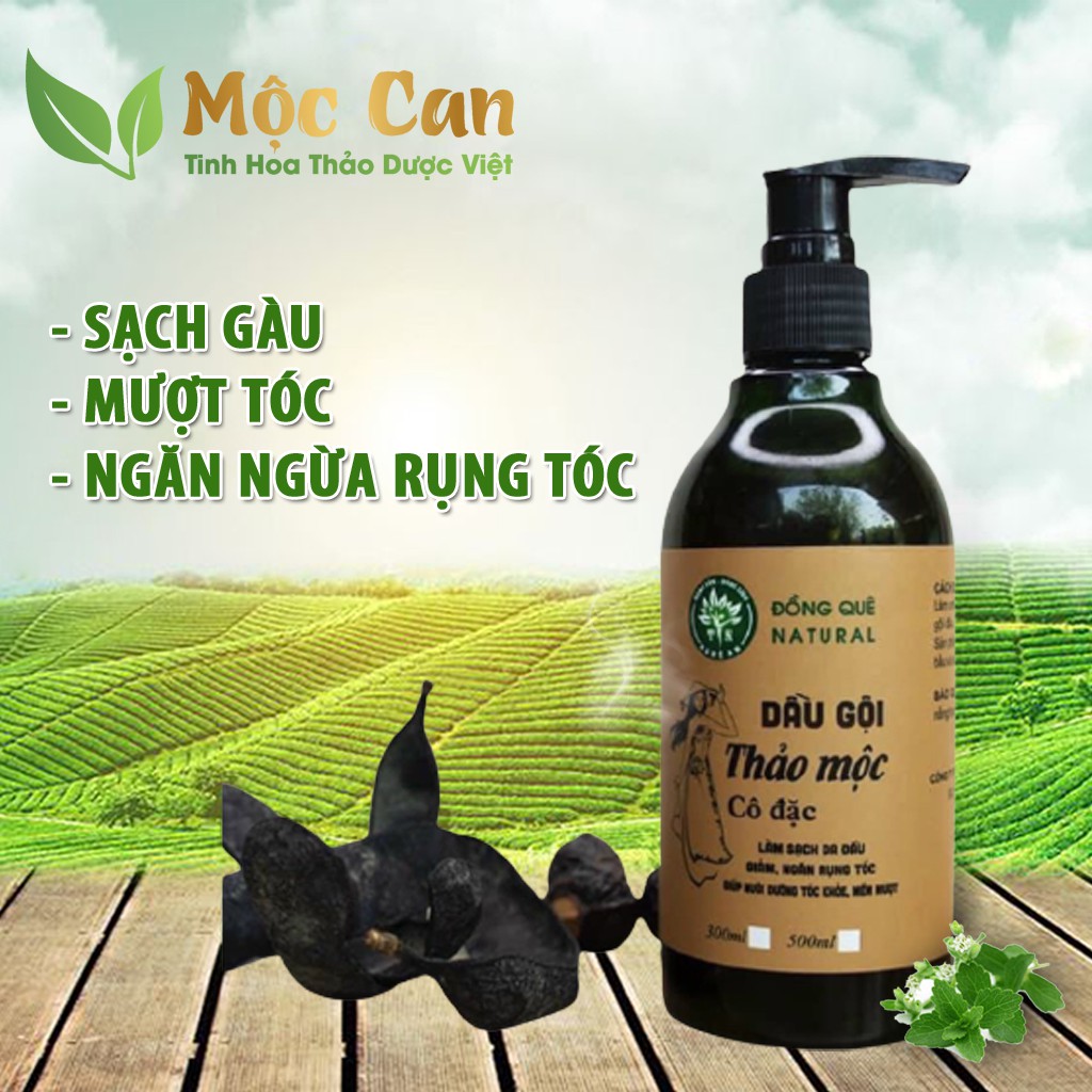 Dầu gội bồ kết cô đặc Dầu gội thảo dược sạch gàu, nấm ngứa, chống, ngăn rụng tóc, mọc tóc 500ML