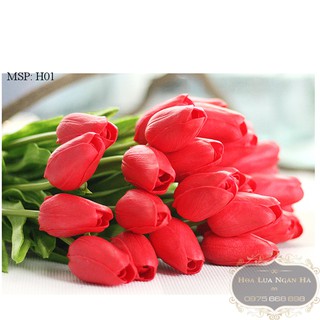 HOA TULIP XỐP DẬP