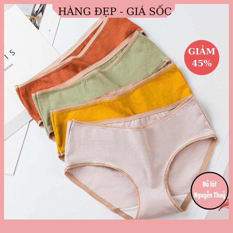 Quần Lót Nữ Cotton Sợi Bông Đa Sắc Cao Cấp