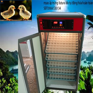 máy ấp 600 trứng full tự động hóa