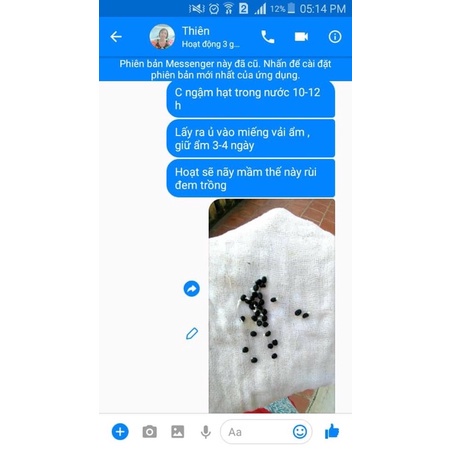 Hạt giống măng tây F1 Loại dễ trồng năng xuất cao kháng sâu bệnh ( gói 100 gram , 300gram ,500gram )