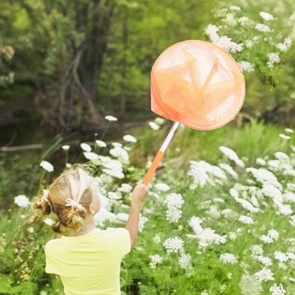 Vợt lưới bắt bướm bằng thép không gỉ có thể thu gọn tiện dụng