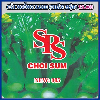 Hạt giống cải ngồng xanh thân mập new.003 – 20gram