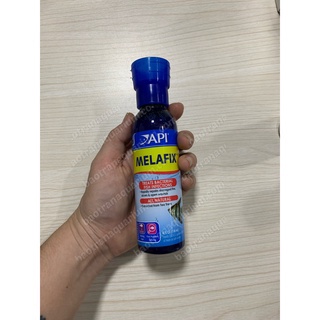 Thuốc trị nấm, thối vây, nhiễm khuẩn cho cá api melafix 118ml