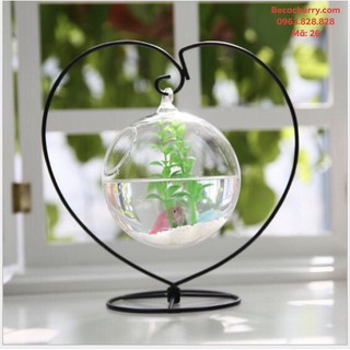Bể Cá Mini Trái Tim 26 ( Tặng Kèm Combo Phụ Kiện )