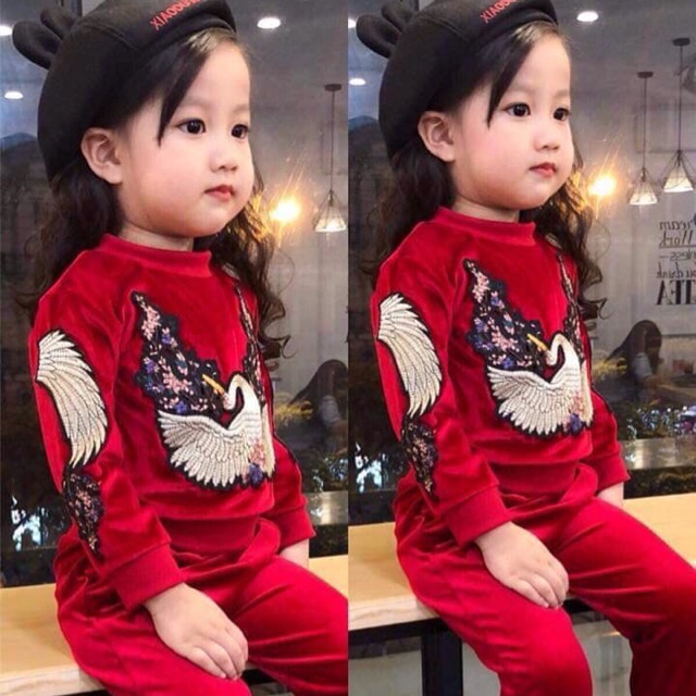 Freeship 99k TQ_Bộ nhung thêu công hàng đẹp 10-24kg sale còn 99k/bộ