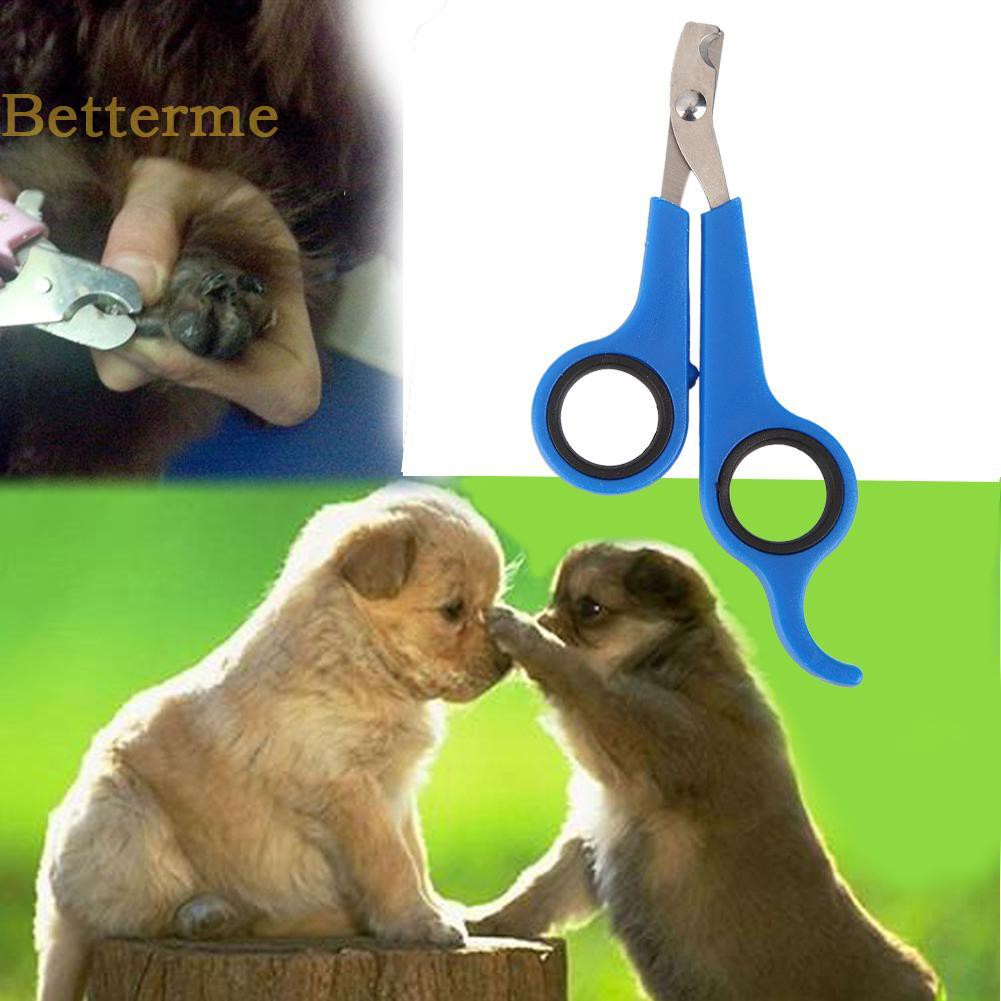 Kềm cắt móng cho thú cưng