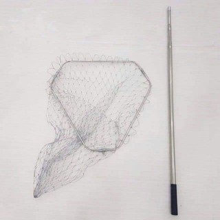Vợt bắt cá