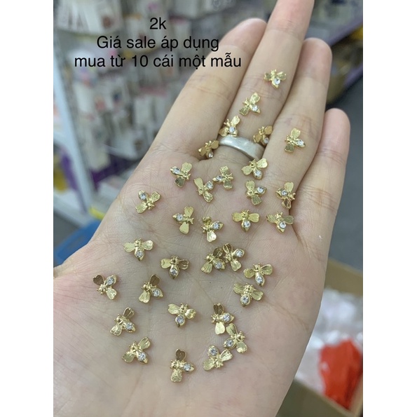 Cham hình đính móng