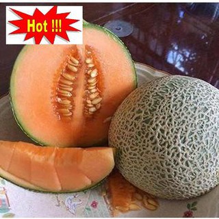 Hạt giống Dưa lưới F1 (Ruột cam, Siêu ngọt)