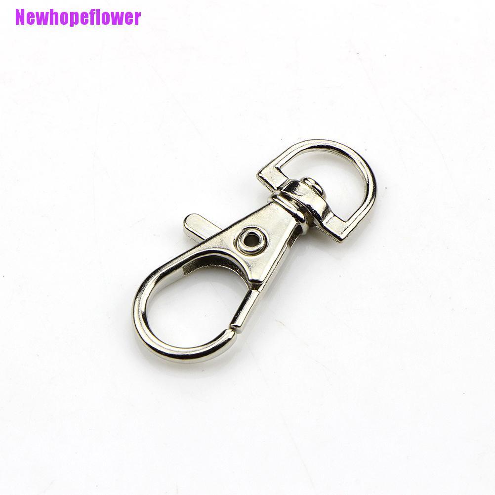 Bộ 10 Hình Tôm Hùm Độc Đáo