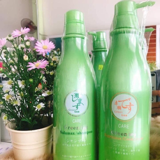 Dầu gội đầu tra xanh