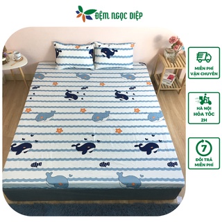 Bộ ga 2 vỏ gối poly cotton m2 bọc đệm giường đơn hoặc đệm 2m2