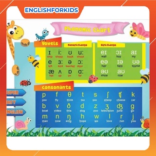 Decal dán tường bảng phonemic chart