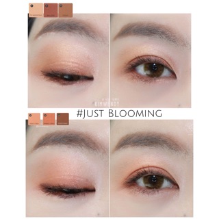 Màu mắt A’pieu Eye Color Pointe