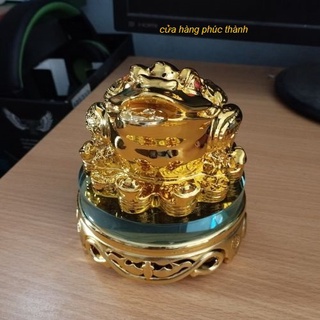 Cóc Thiềm Thừ vàng xoay