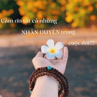 Kho thảm online 399