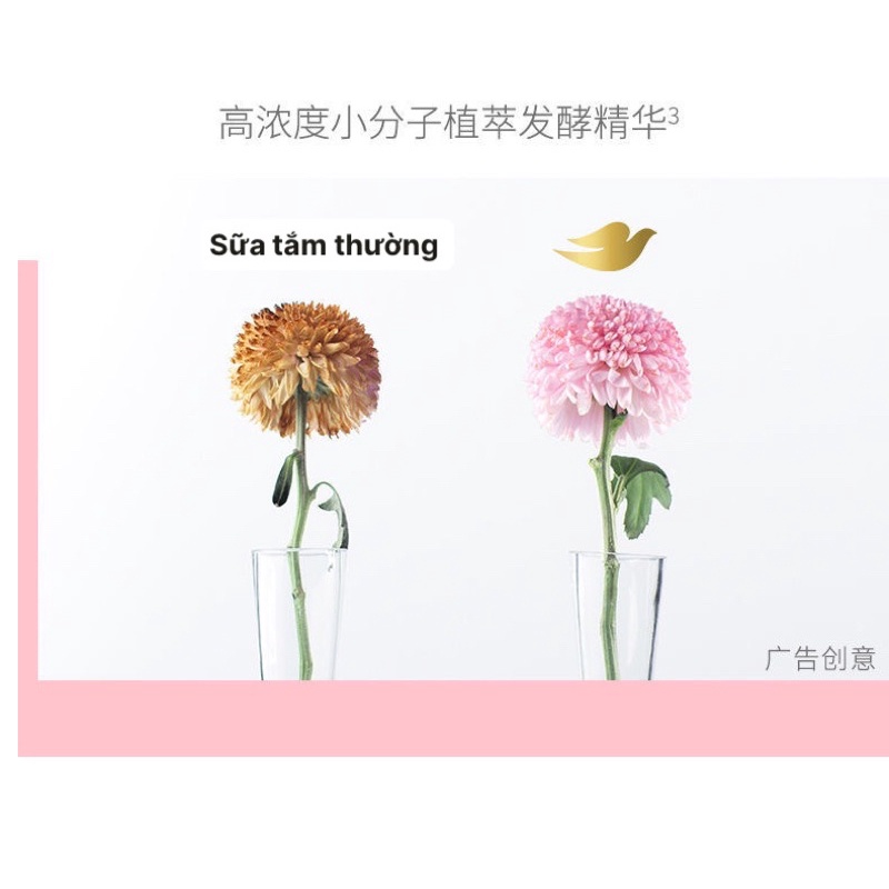 Sữa tắm trắng da Dove lên men từ trái cây + hoa