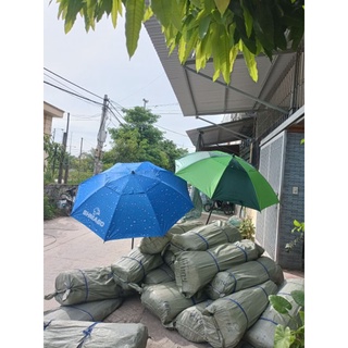 Ô dù che mưa, nắng cao 1m8