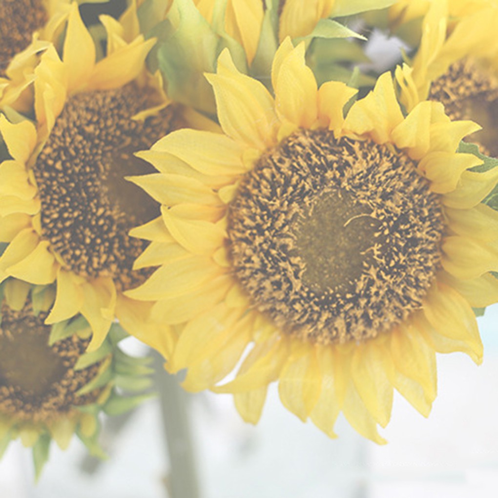 Bó hoa hướng dương nhân tạo trang trí đẹp mắt