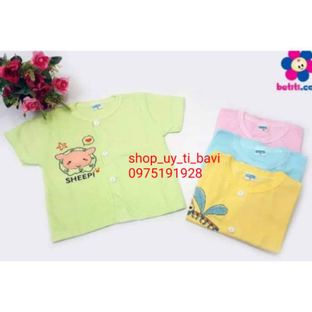Áo cộc tay thu hằng 100% cotton
