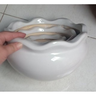 Bộ 3 chậu sứ trắng miệng bèo