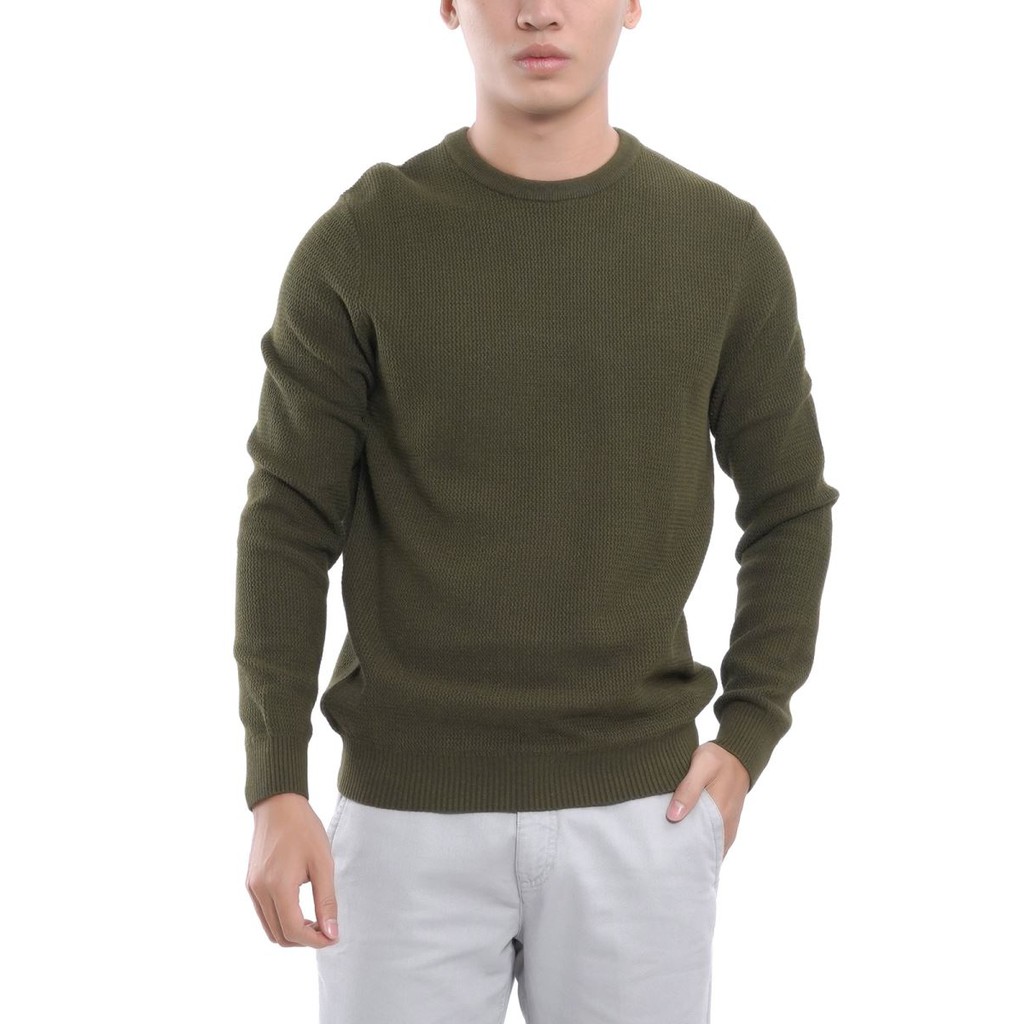 Áo len aristino màu rêu slim fit AWO036W7