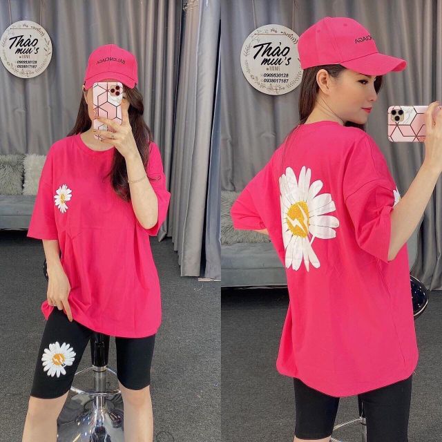(4 màu) Set bộ nữ lửng hoa cúc siêu xinh