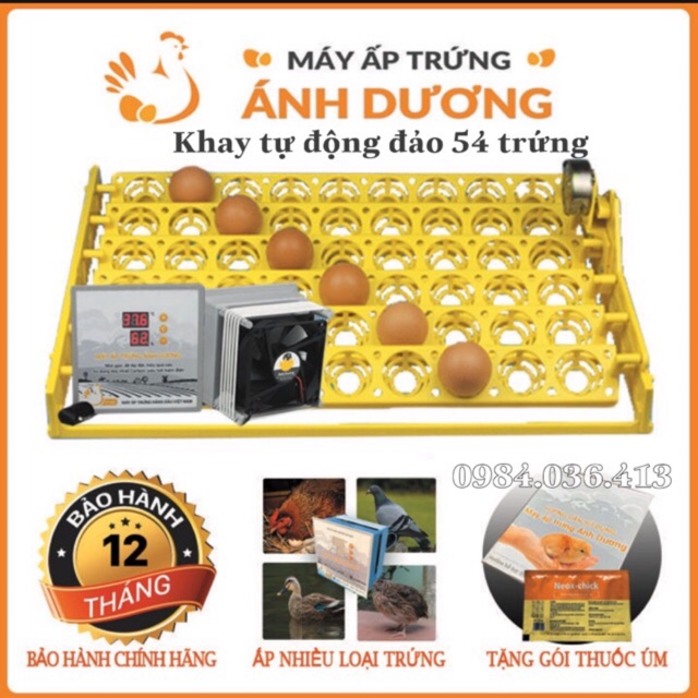 Máy ấp trứng mini Ánh Dương P100 kèm khay đảo tự động 54 trứng - kèm quà tặng, máy tự lắp thùng xốp