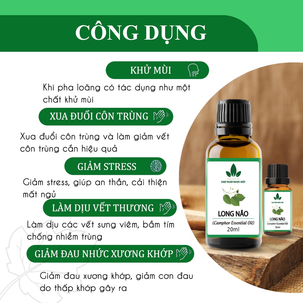 Tinh dầu Long Não 20ml, xoa bóp, tốt cho xương khớp, đuổi côn trùng, muỗi - Chợ Thảo Dược Việt