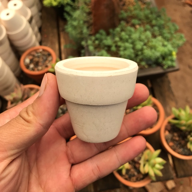 Combo 10 Chậu đất nung màu trắng và nâu mini