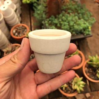 Combo 10 Chậu đất nung màu trắng và nâu mini