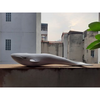 Cá Voi Trắng 45cm