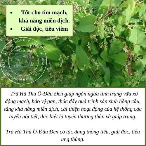 Trà Hà Thủ Ô - Đậu Đen, xanh tóc, đỏ da, thanh nhiệt, bí quyết trường thọ, 1 bịch - 40 Túi Lọc