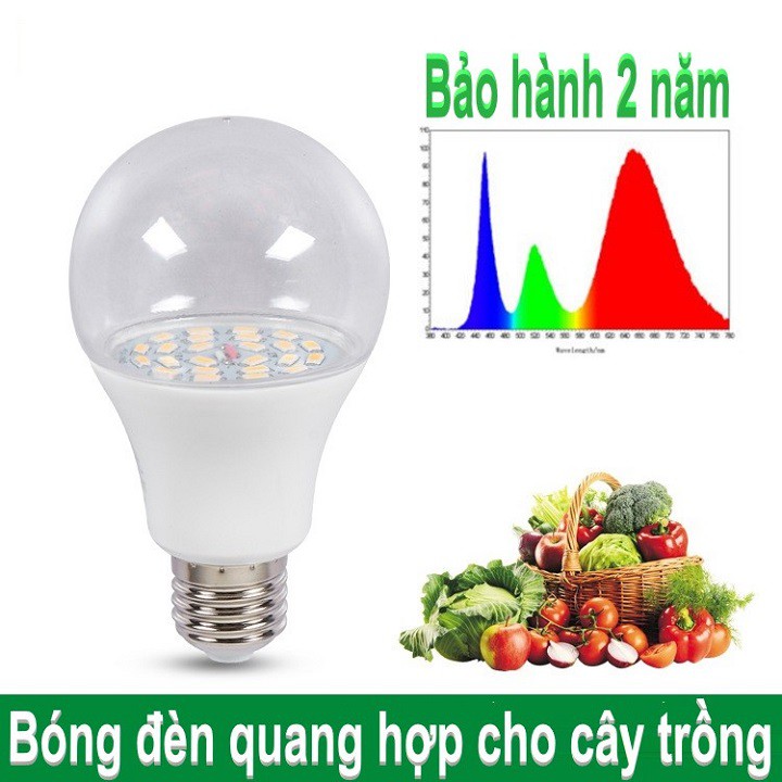 Bóng đèn quang hợp cho cây - nhựa cao cấp công suất 9W (thích hợp hoa màu - rau củ - cây ăn trái - thủy sinh)