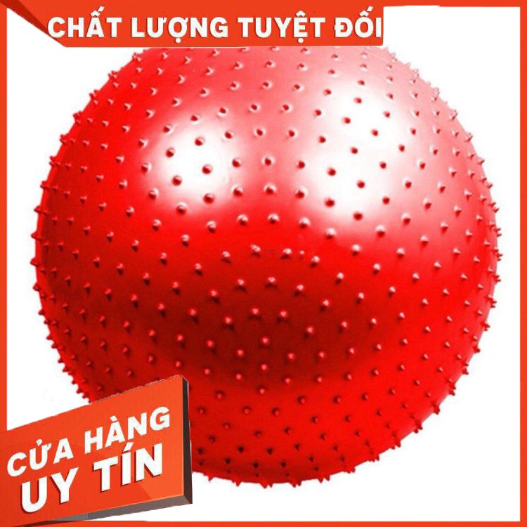 Bóng Tập Gym Có Gai 65cm (900g) - Bóng tập thể dục, yoga và fitness chất lượng cao