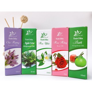 Tinh Dầu AFOREX.co.ltd 10ml Tự chọn mùi hương