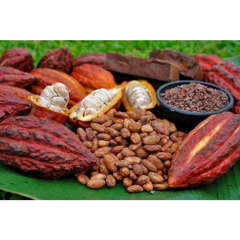 Bột Ca Cao loại Ngon đặc biệt 1kg