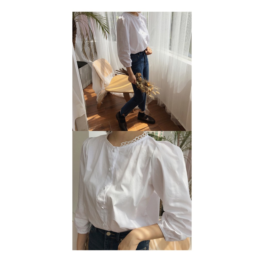 Áo sơmi trắng cổ đăng ten (AS08)-Hàng có sẵn