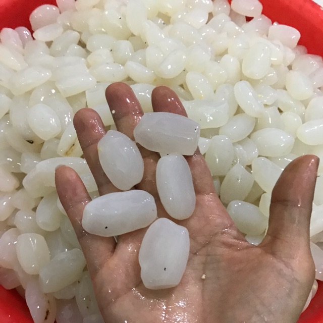 Hạt đác tươi Trung 1kg-hà nội
