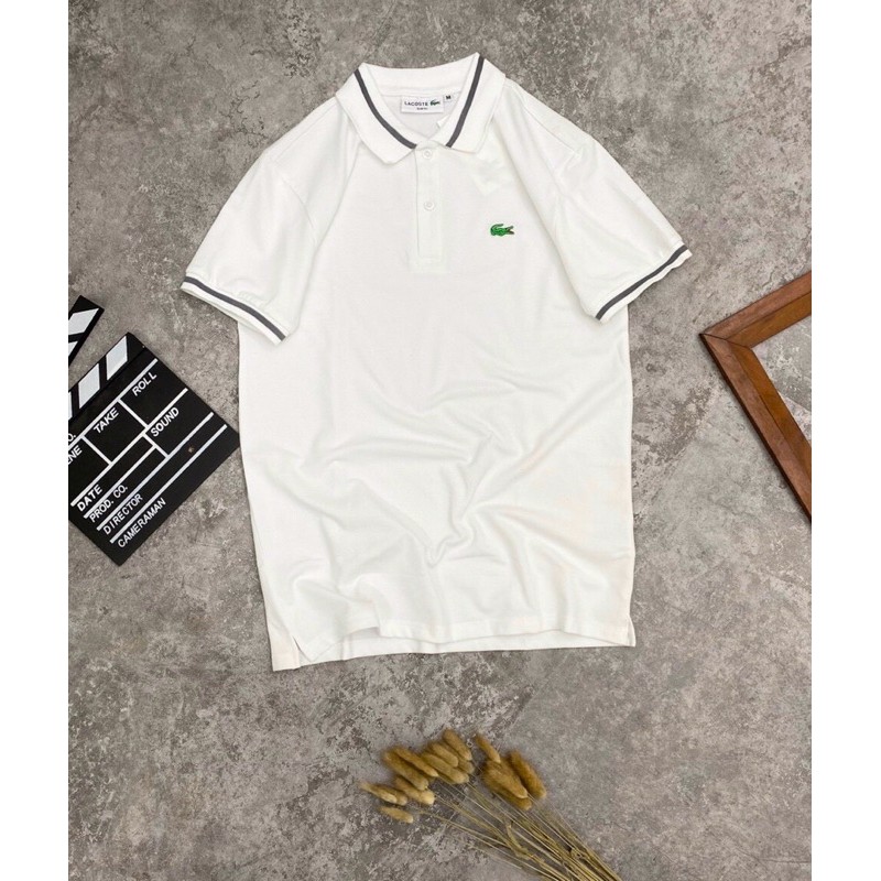 Áo phông nam PO-LO cá sấu 4 màu | BigBuy360 - bigbuy360.vn